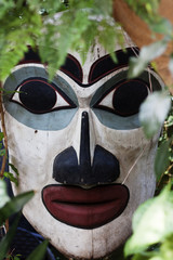 aboriginal haida mask in natural setting
