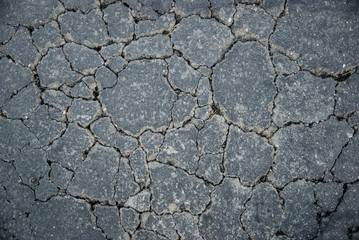 cracked blacktop