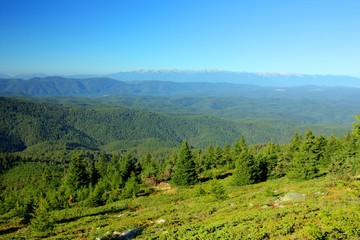 Naklejka premium Rodopi_7.1