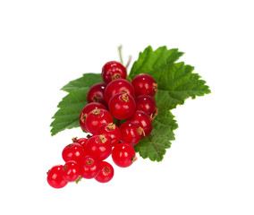 Red currant