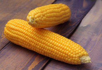 two ears of corn on the wooden background