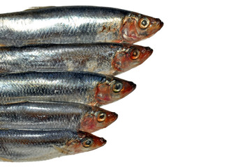 Five Fish Sprats Isolated On White