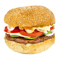 Beef burger with tomatoes,cucumber and onion