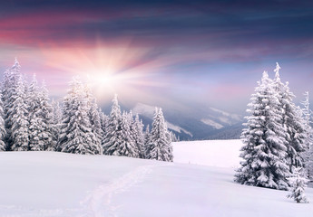 Beautiful winter landscape in the mountains. Sunrise