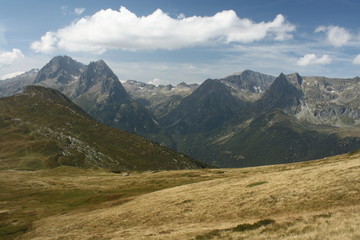 alpine meadows in French Alps near Chamonix