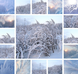 Winter collage