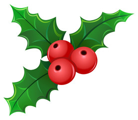 Mistletoe