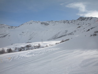 Fototapeta na wymiar Etoile des neiges