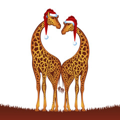 Christmas giraffes, vector