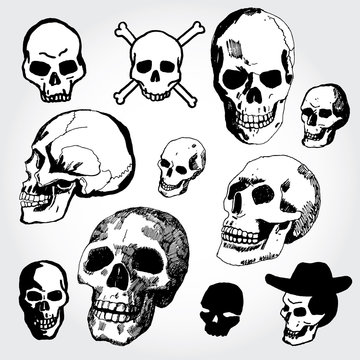 Doodled Skulls