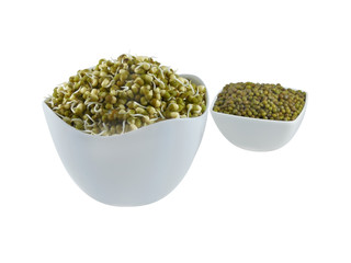 Sprouts of green grams in a bowl