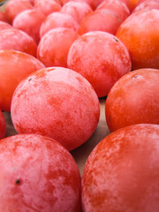 Obraz premium red fruit