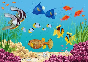 Foto op Plexiglas Aquarium © milovelen