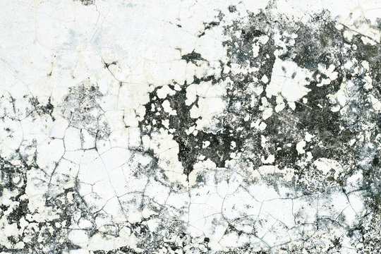 Old cement wall texture