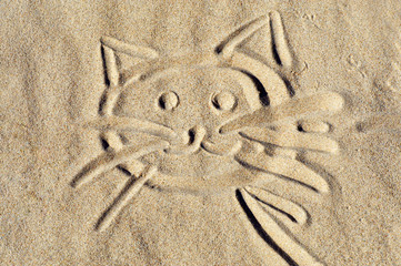 Fototapeta na wymiar face kotek na piasku plaży