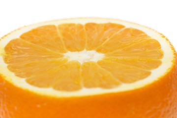 orange as the background. macro