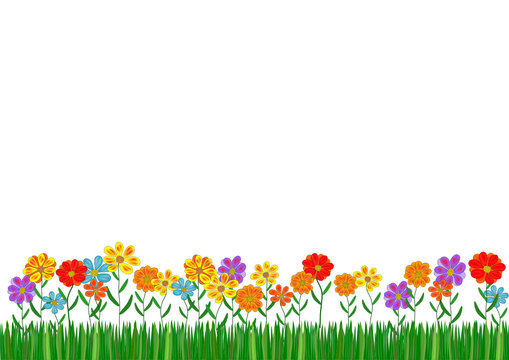 Blumenwiese, Rasen, Gras, Blumen