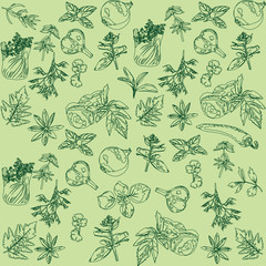 seamless background with herbs