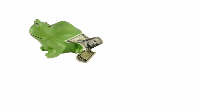 Stop motion Frog moneybox whith dollars going in it
