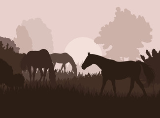 Horses in field vector background