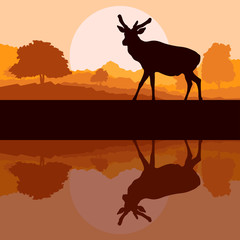 Deer in wild nature forest landscape background vector