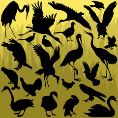 Big and small birds detailed illustration collection background