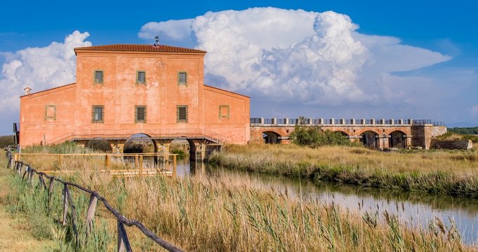 Riserva Naturale di Diaccia Botrona