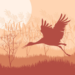 Crane flying in wild mountain nature landscape