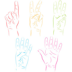 Human hands make numbers