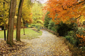 Automne. Chute des feuilles dans un parc. Promenade matinale. Valencienne France.