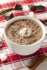 Gourmet Hot Chocolate