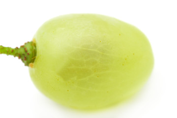 grapes on a white background. macro