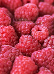 sweet fresh raspberries