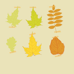 Retro baby frame vintage photo