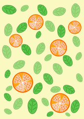 orange slices vector background 2