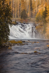Lewis Falls in Yellowstone National Park