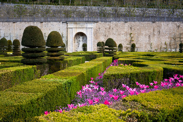 Fototapeta premium Gardens of the Chateau de Villandry, France