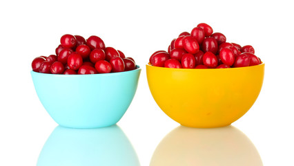fresh cornel berries in colorful bowls isolated on white
