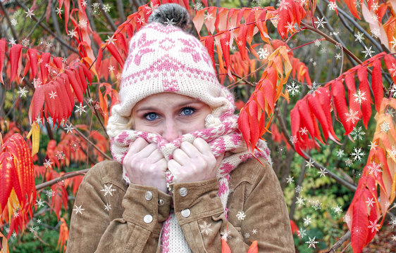 Schneeprinzessin Images Browse 23 Stock Photos, Vectors, and Video