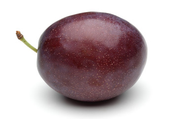 Plum