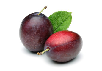 Two Plums