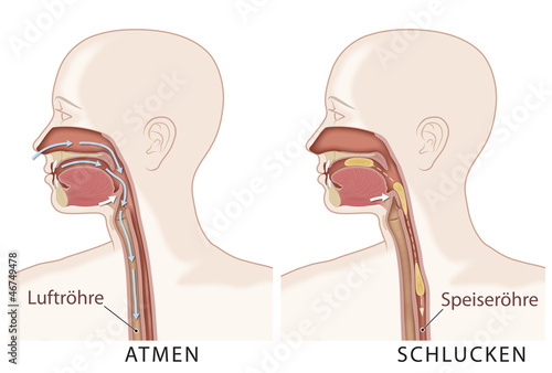 Kehlkopf Tut Weh Beim Schlucken de.fotolia.com