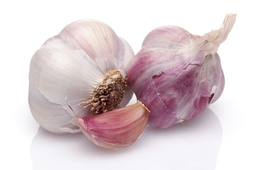 Garlic Group