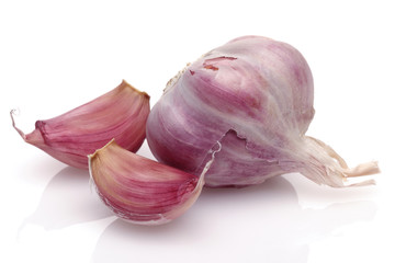 Garlic Group