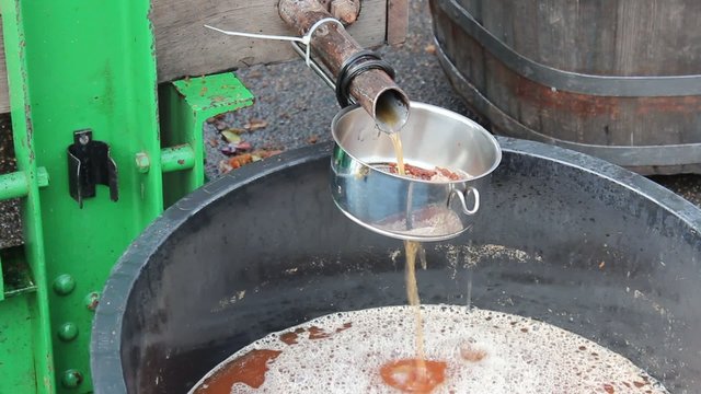 Frisch gepresster Apfelsaft