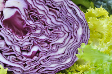 int&eacute;rieur du chou rouge