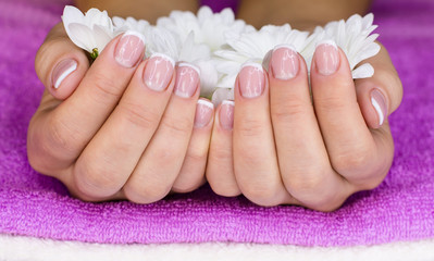 Flowers in female hand's