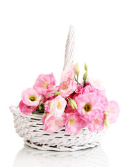 bouquet of eustoma flowers in basket, isolated on white