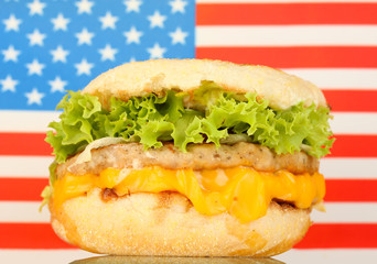 tasty sandwich, on american flag