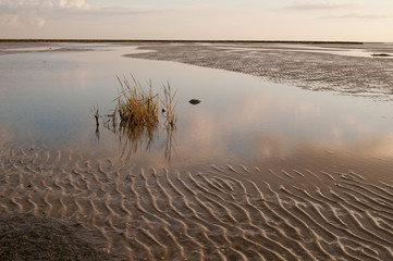 Wattenmeer 16 - Wadden Sea